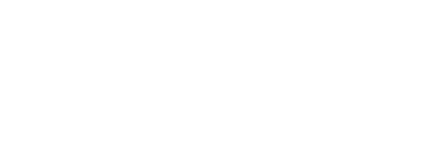 Shopify Partner