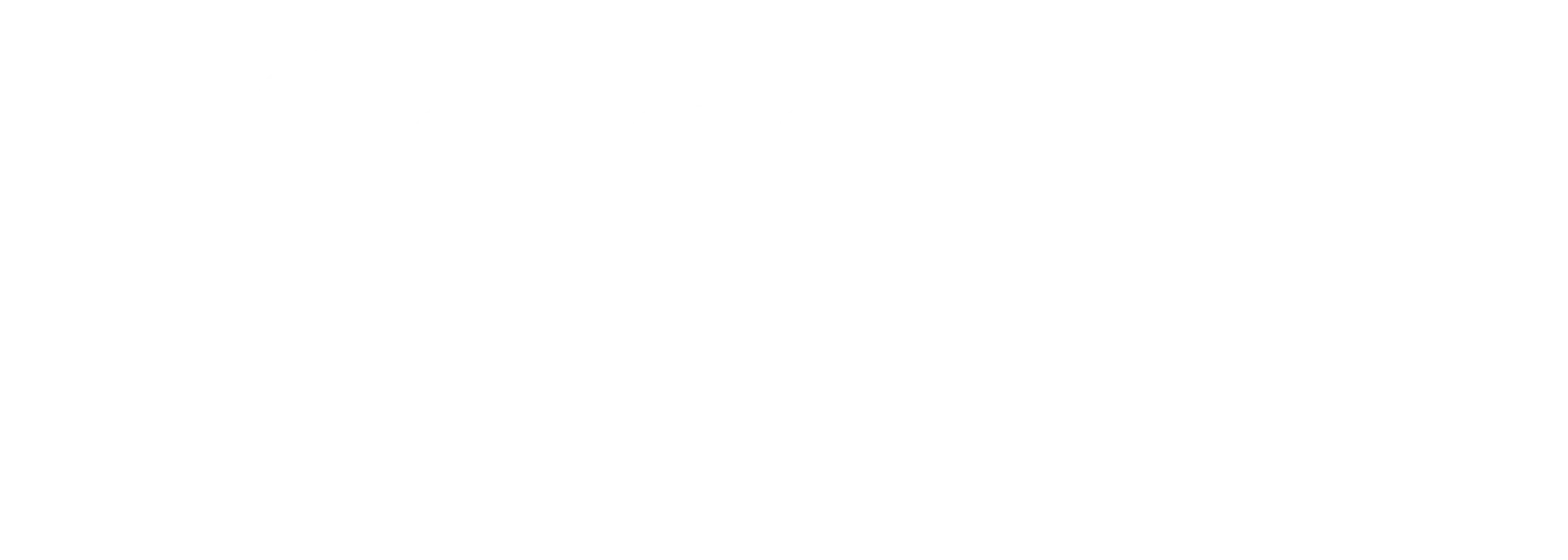 Google Partner