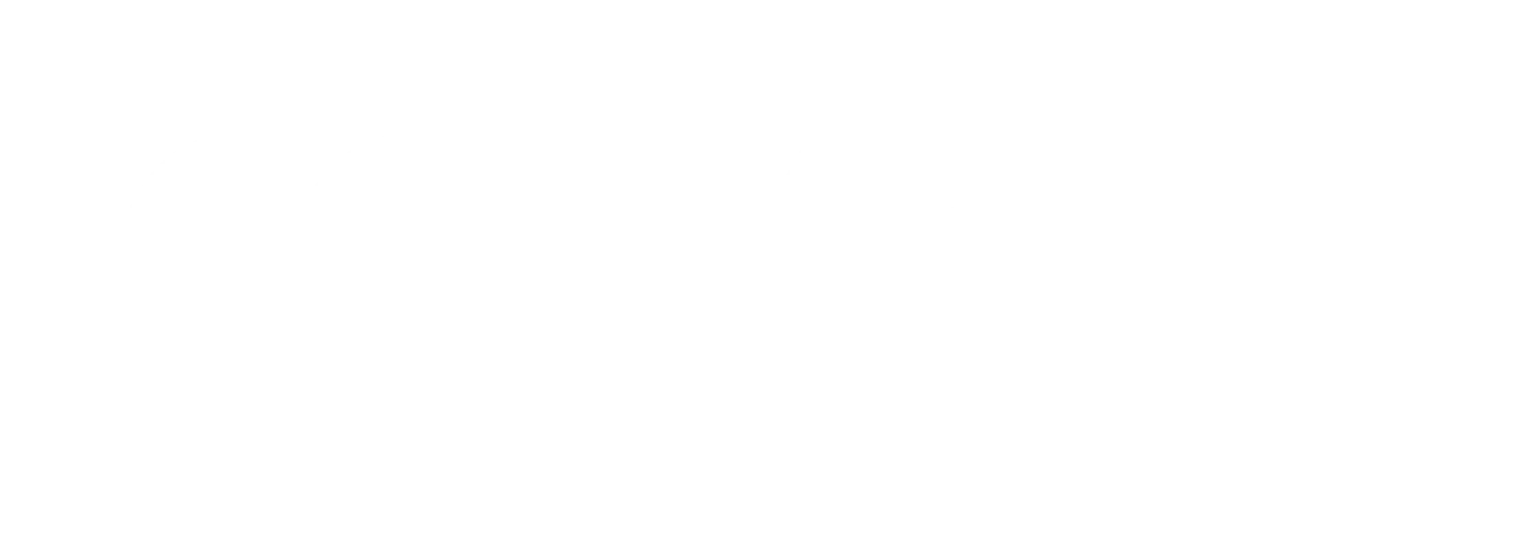 Meta Partner